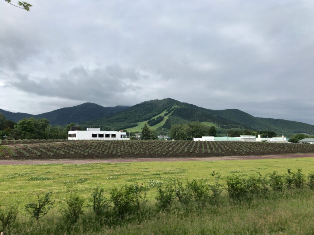 テラス席からの景色