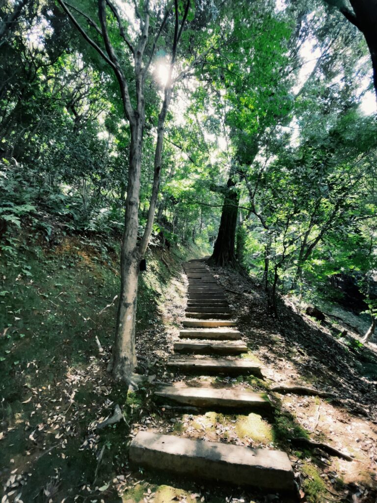 探鳥路