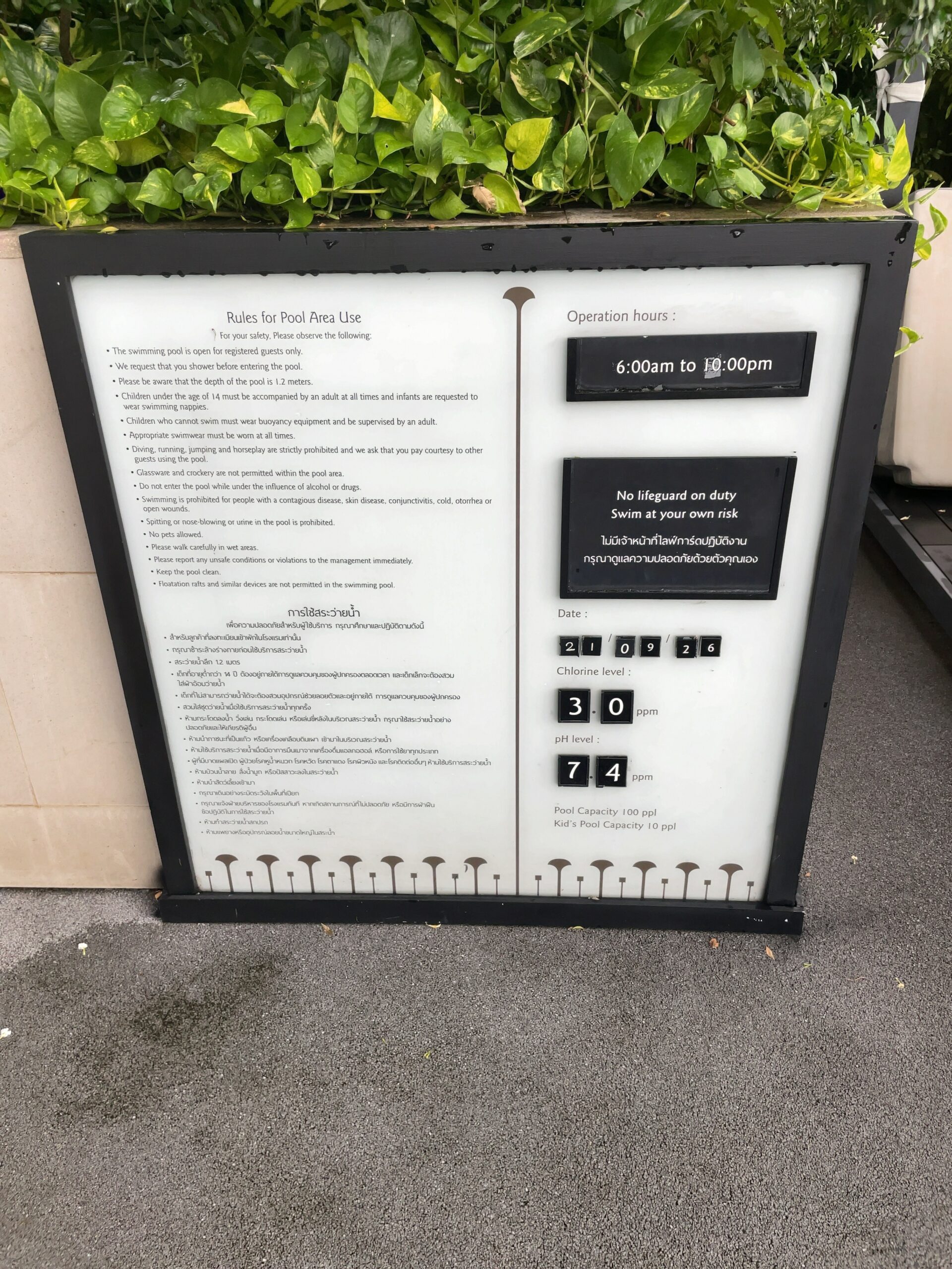 プールの利用案内